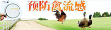 預防禽流感
